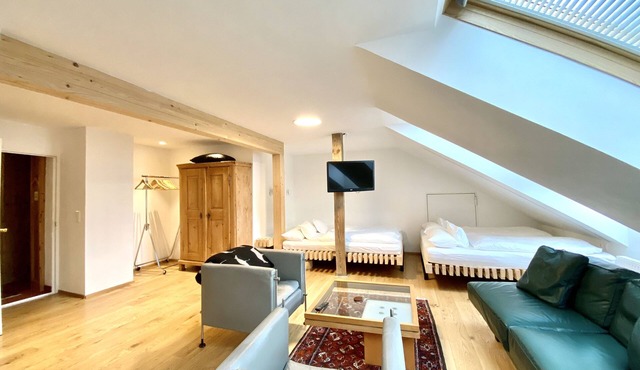 Modern loft for 2-4 persons, SWIMMING POOL in the garden, pets allowed