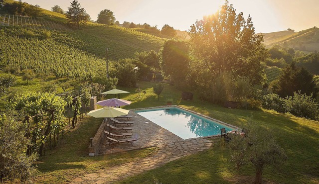 MODERN LOFT IN THE MIDDLE OF THE VINEYARD WITH AMAZING SALT WATER POOL