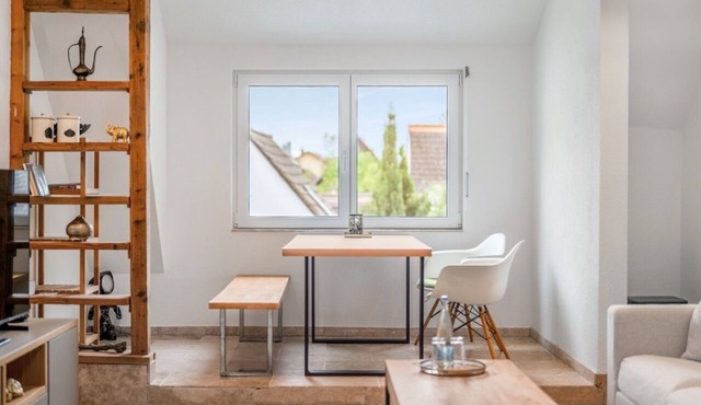 Modern loft on the vineyard in the historic winery with pool, dogs allowed!