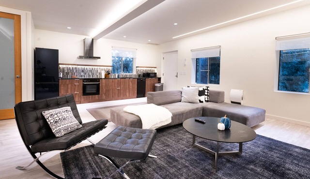 Modern Loft with Park Like Setting View