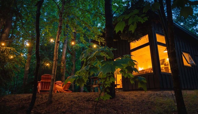 Modern, luxurious cabin in the woods - 20
