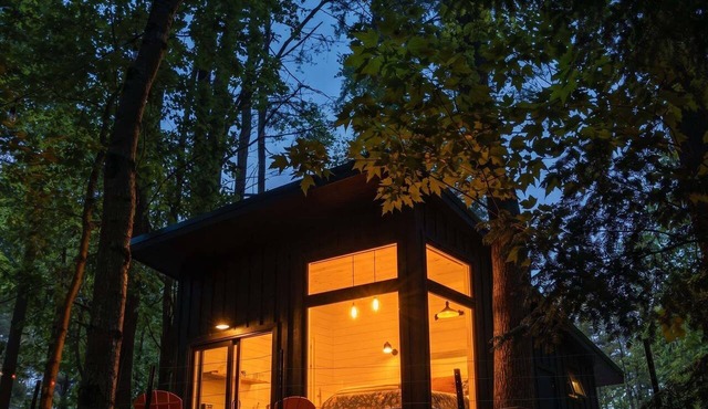Modern, luxurious cabin in the woods - 19