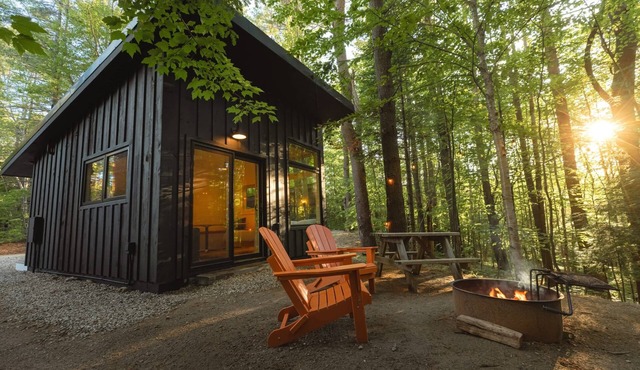 Modern, Luxurious Cabin in the Woods - 03