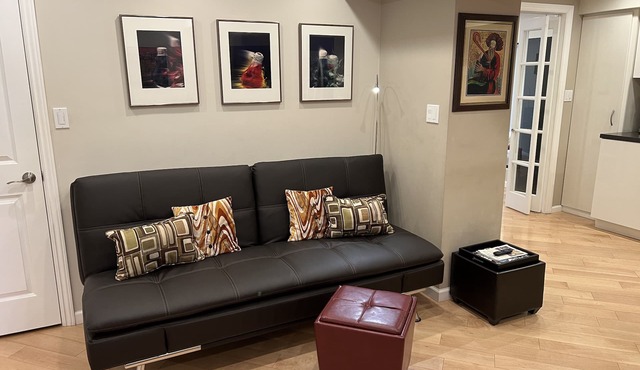 Modern Luxury SanFran Casa Steps From GG Park, Ocean, Stores, Public Transit