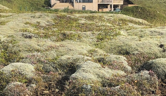 Modern mountain-view cottage in Golden Circle with outdoor Hot Tub & Sauna