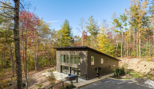 Modern Mountain Asheville Getaway/Hot Tub
