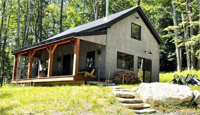 Modern Okemo Smart Cabin As Seen On DIY Network