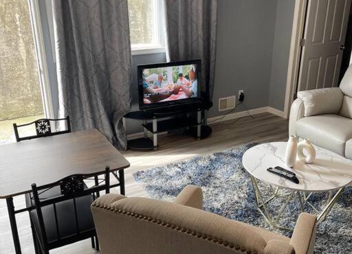 Modern one bedroom apartment