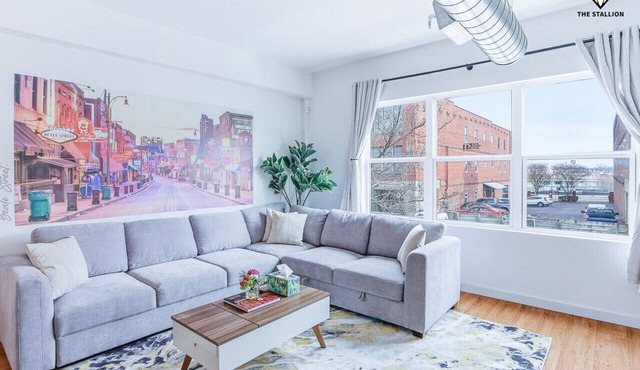 Modern Spacious Loft in Downtown