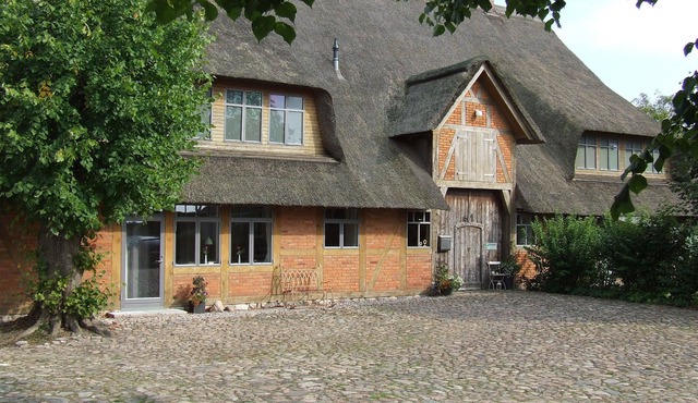 Modern studio apartment under thatch