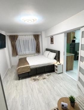 Modern Studio Cetate