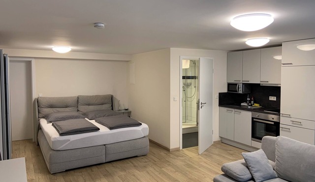 Modern studio for 4 people (approx. 30 sqm)
