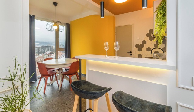 Modern Studio in Central Pirot