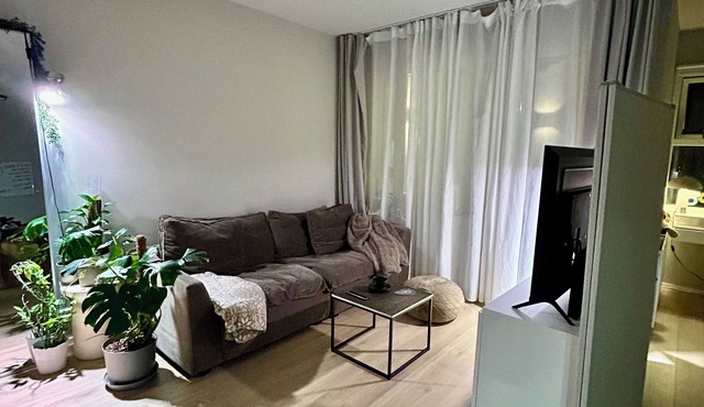 Modern Studio Near Downtown Reykjavik – Comfy & Fully Equipped