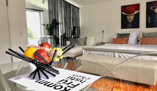 Modern studio on the sun terrace above Baden-Baden