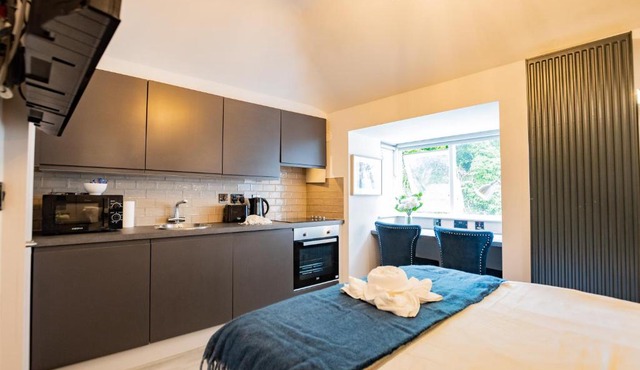 Modern Studio - Steps from Marina
