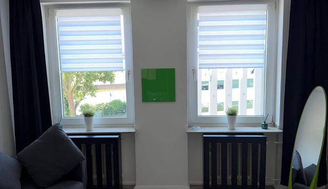 Modern studio with a view of the Rhine