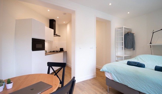 Modern studio with terrace