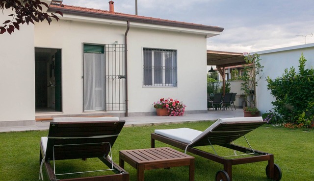 Modern style house with large enclosed garden.