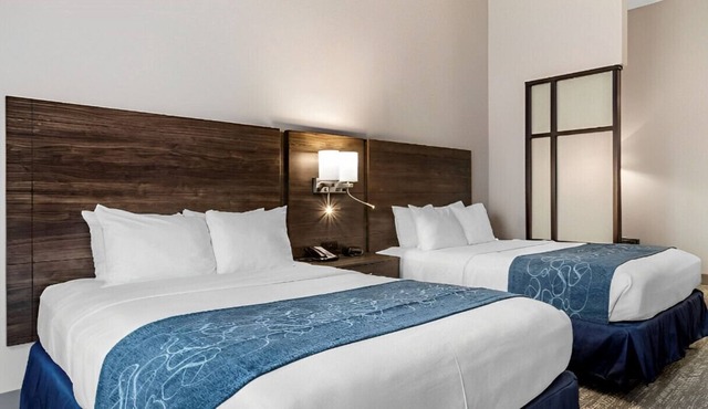 Modern Suite Will Make Your Stay Exceptional