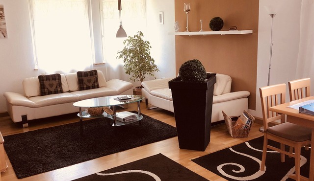 Modern, sunny 4* apartment with south-facing terrace in the Fichtelgebirge