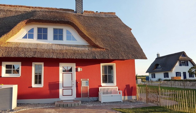 Modern thatched house close to the beach between Boltenhagen and Wismar; with sauna and fireplace.