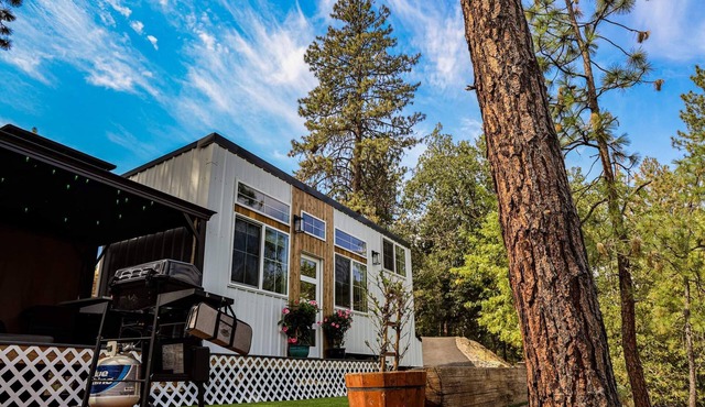 Modern Tiny House in the Woods w/Hot Tub
