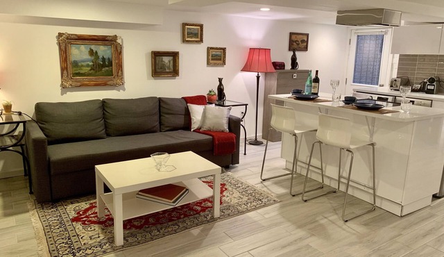 Modern Two-Bedrooms Flat in Shaw - The Heart of DC