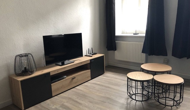 Modern vacation apartment near the university