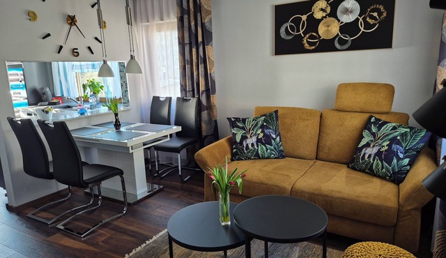 Modern vacation apartment "Am Schiff " in Eberbach