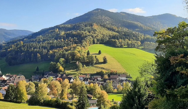 Modern vacation apartment in the climatic health resort of Oberprechtal in the middle of the Black Forest