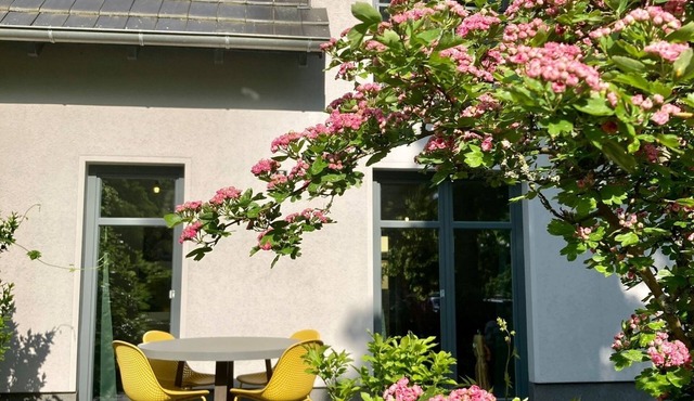 Modern vacation home/vacation apartment by the castle park and lake, fireplace, bathing area