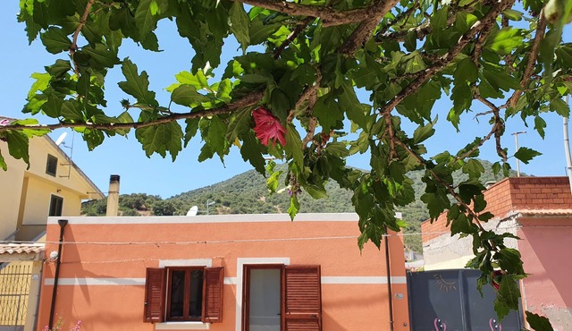 Modern villa with garden in charming South Sardinia