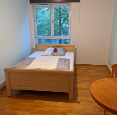Moderne Ferienwohnung in Leipzig-Schleußig