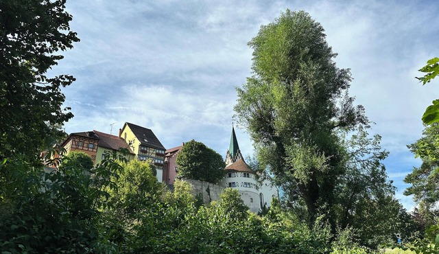 Modernes Apartment mit Terrasse und Garten - Zwischen Bodensee und Schwarzwald