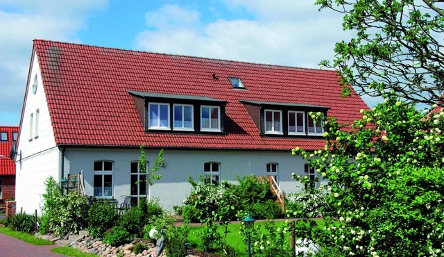 Modernes Reihenhaus mit WLAN in Buchholz am Müritzsee