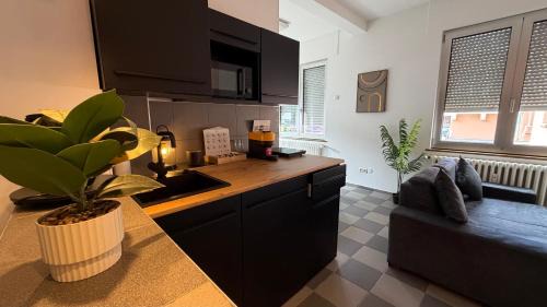 Modernes Designer Studio in Tuttlingen stadtnah und ruhig gelegen