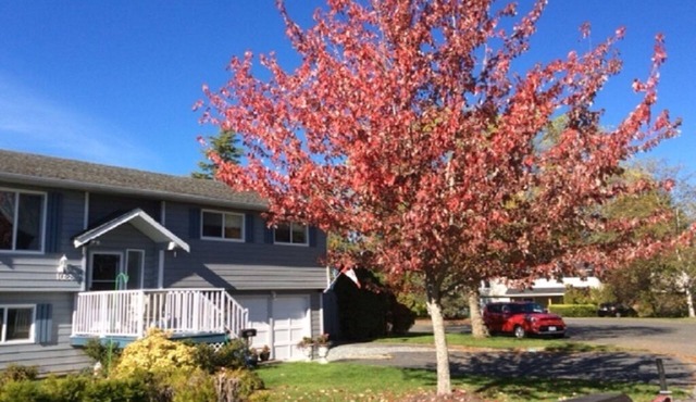 Modernized 1 Bedroom suite close to downtown Sidney