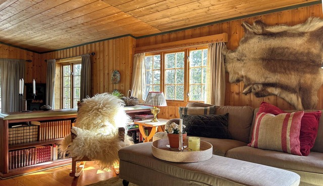 Modernized cabin at Norefjell with view