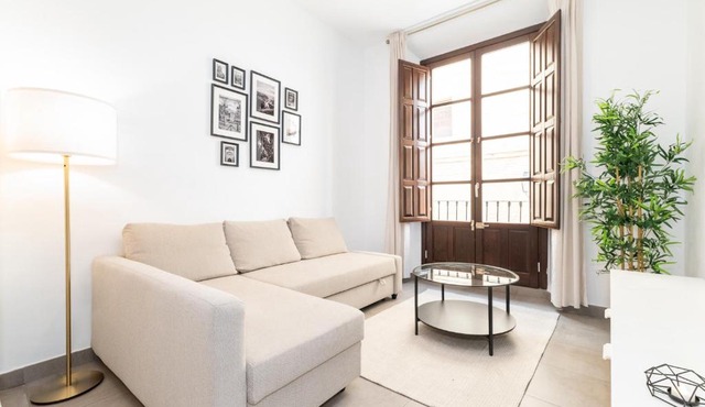 Moderno Apartamento Centro de Granada 2