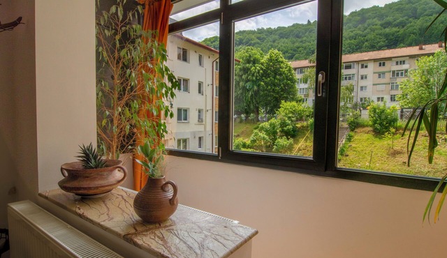 Modest and Authentic Roumanian Middle Class Apartment