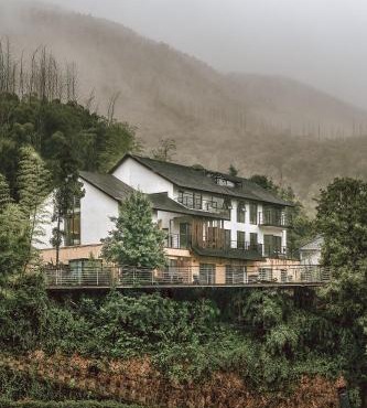 Moganshan Spring Mountain View B&B