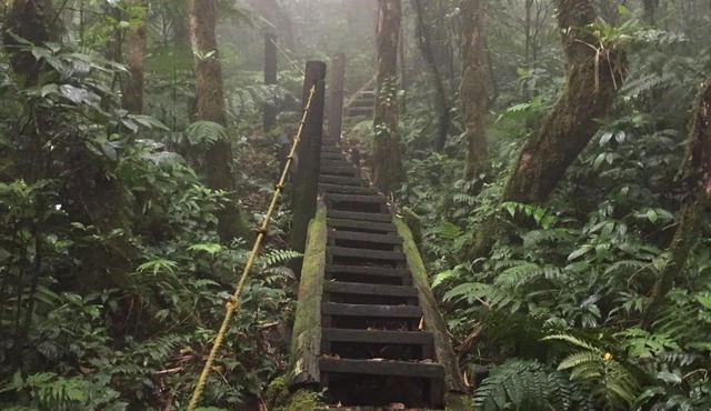 Mombacho Lodge