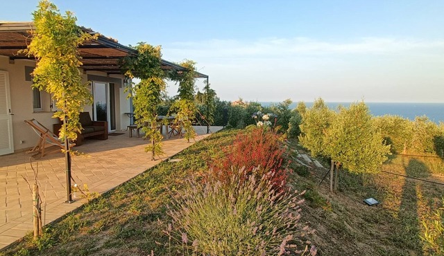 Mondomini Panoramic Cottage, stunning view on sea, hills and 8500 olive trees