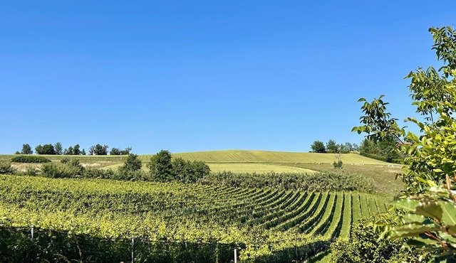 Monferrato Charme & Relax with Pool