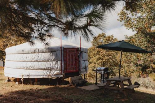 Mongolian yurt at a nature retreat