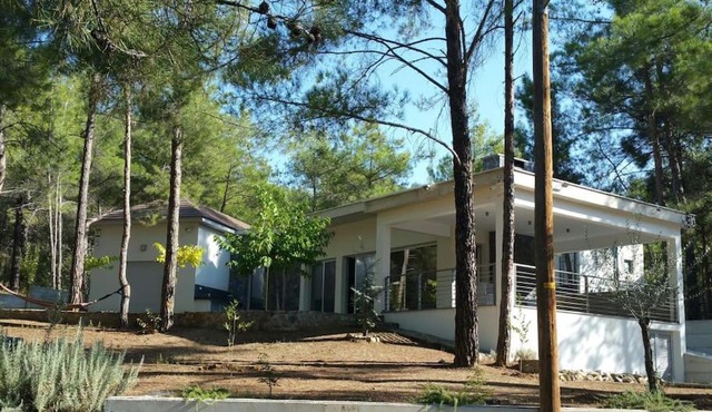 Moniatis Villa