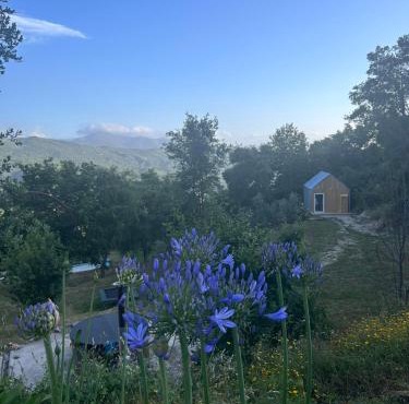 Monkey Tiny Barnhouse with amazing views at ZevariClub!