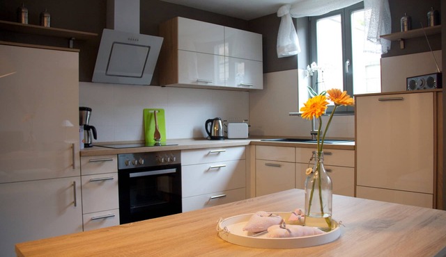 Monopol Apartments - Basic