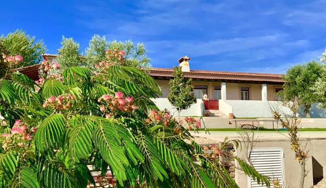 Monte das Oliveiras - Country House